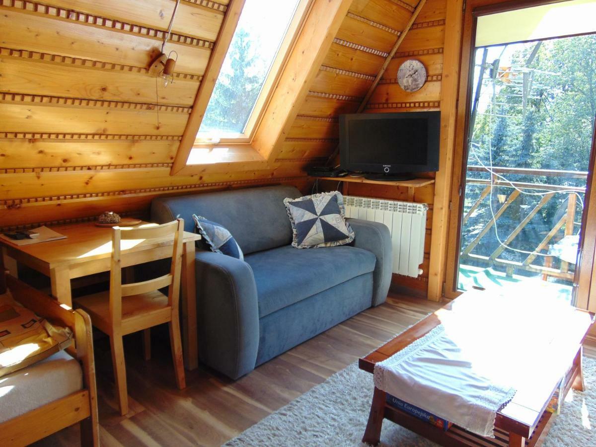 Homestay Srebrny Potok Ζακοπάνε Εξωτερικό φωτογραφία